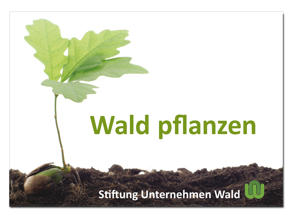 Praesentation Stiftung Wald Titel